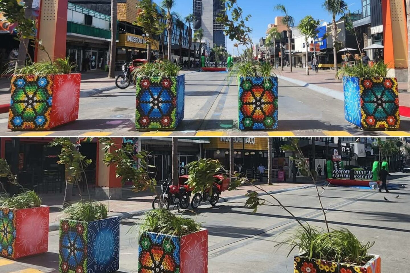 🎨 La cultura Wixárika llena de color la «Revu» en Tijuana