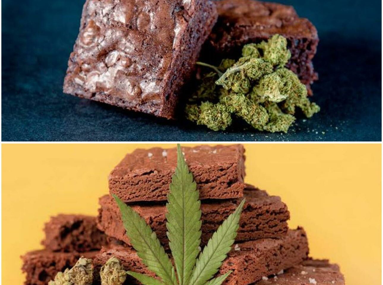 Detecta CECA venta de brownies con marihuana en bachilleratos de Tepic