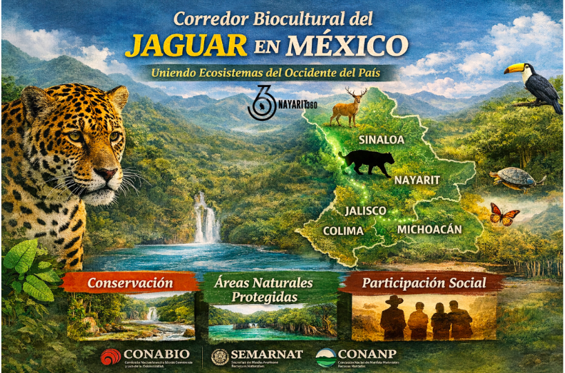 Inversión internacional para restaurar ecosistemas en Nayarit