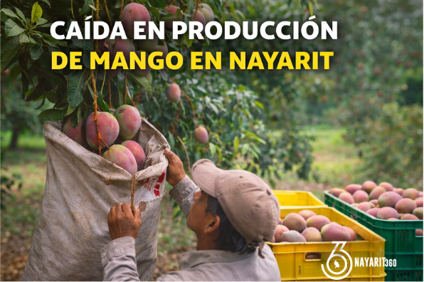 Baja floración afecta producción