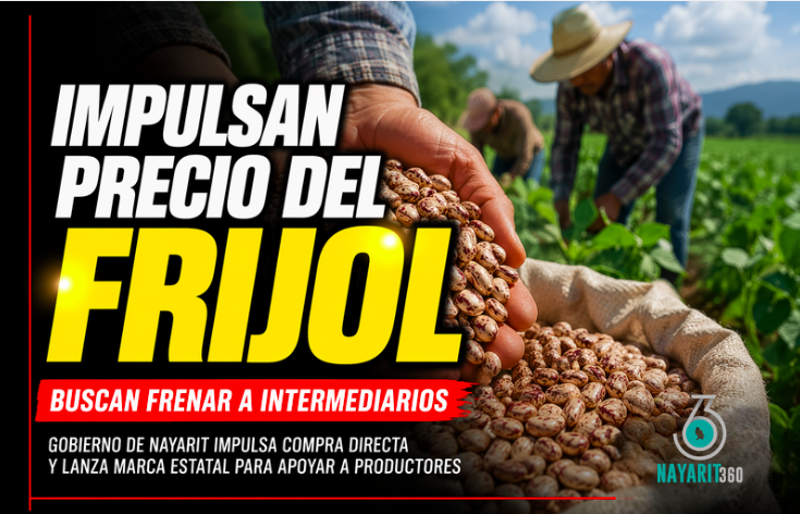 Gobierno de Nayarit impulsa compra de frijol y marca estatal para beneficiar a productores